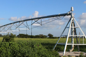 P020141121378711233813