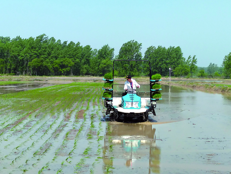 k豆钱包官方网站 - KDpay钱包